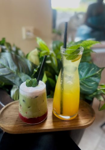 Letní nápojové menu Oáza bistro